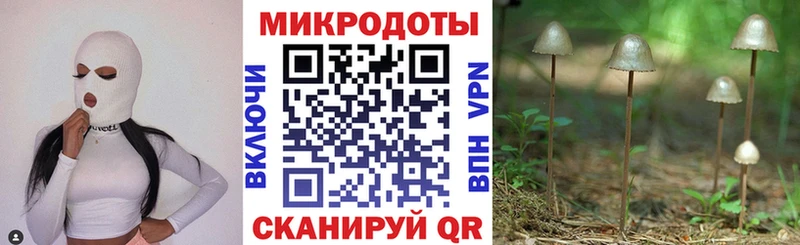Купить  Пустошка  Галлюциногенные грибы ЛСД 